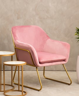 Xander Pink Velvet Modern Accent Chair witg Gold Frame