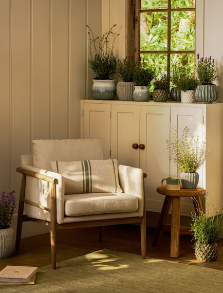 Kennington Armchair Natural room setting