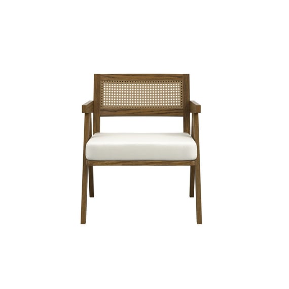 arizona smoked ecru cane chair front