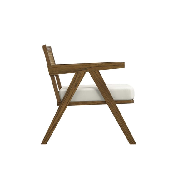 arizona smoked ecru cane chair side