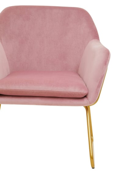 Xander Pink Velvet Modern Accent Chair witg Gold Frame